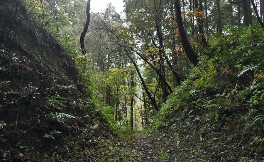 明知城跡