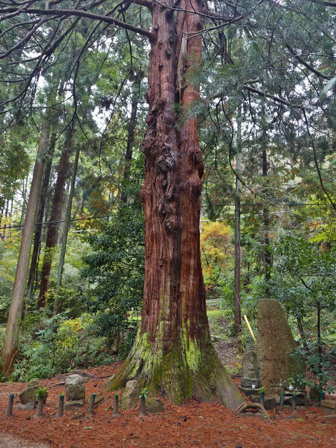 お牧の方墓所