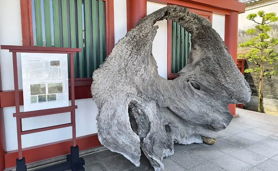大鳥居根柱