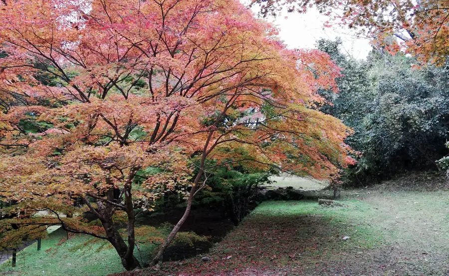 岩村城