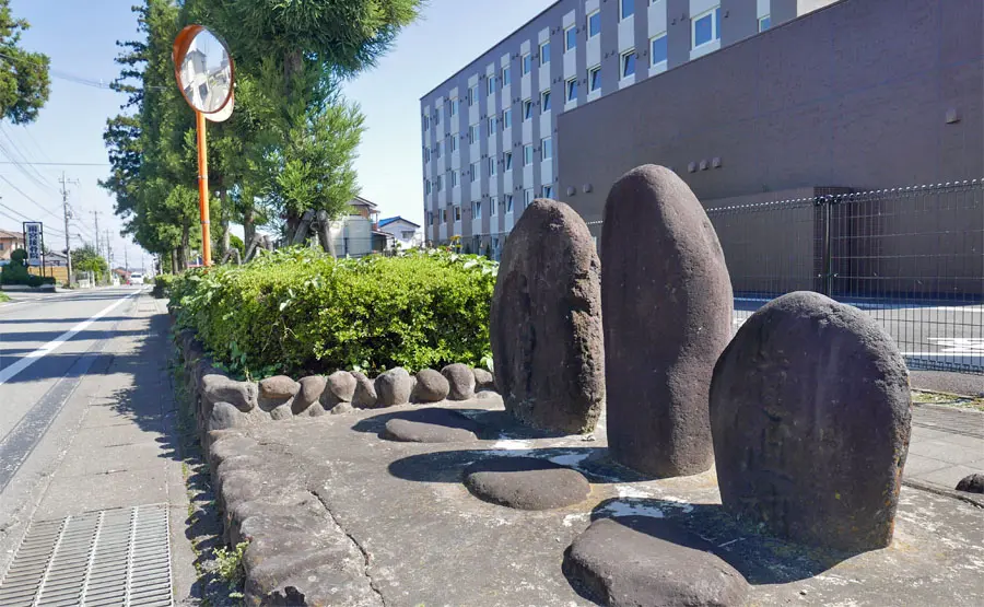 安中原市杉並木