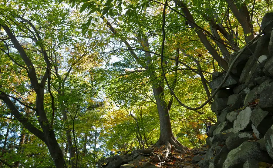 碓氷峠