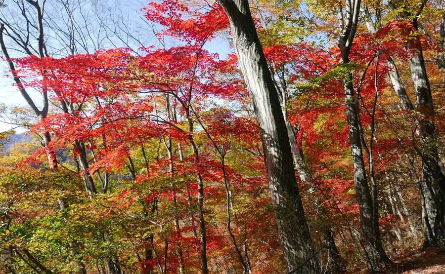 碓氷峠