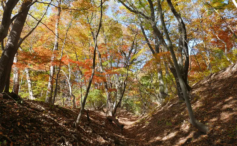 碓氷峠