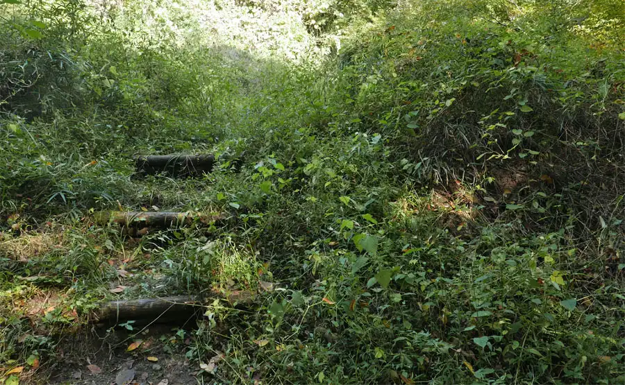 旧中山道