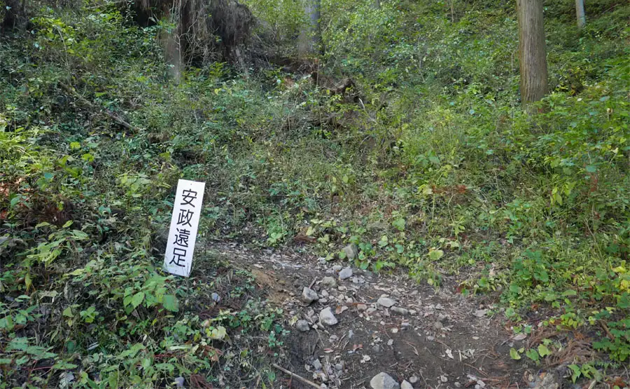 安政遠足