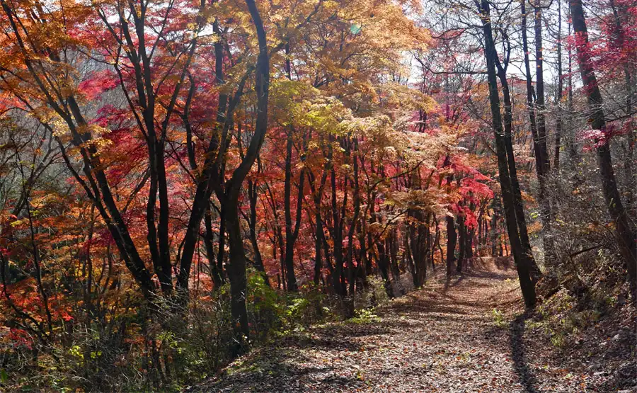 旧中山道