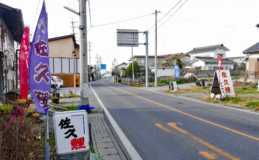 佐久の鯉