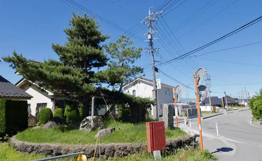 相生の松