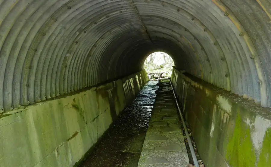 ビーナスライン