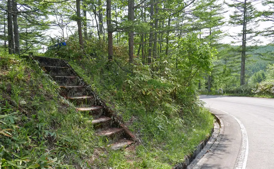 ビーナスライン