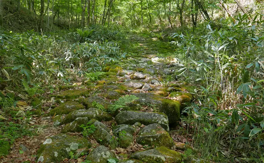 和田峠石畳