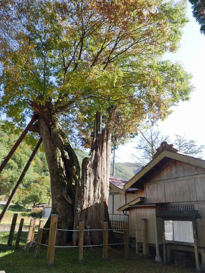 旗挙八幡宮
