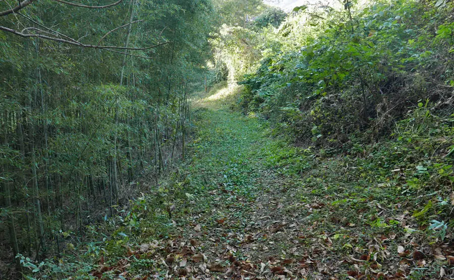 旧中山道