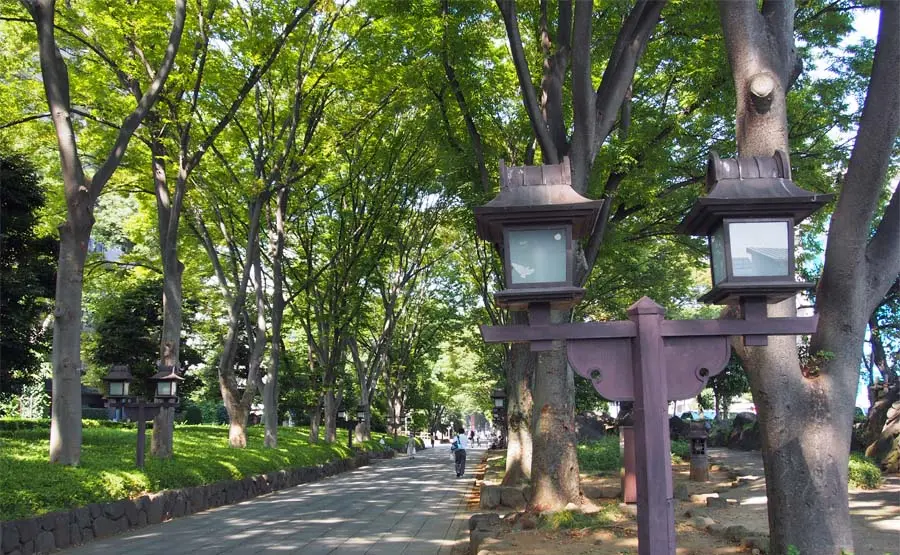 氷川神社参道