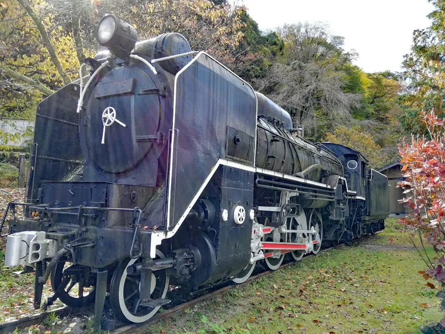 SL D51