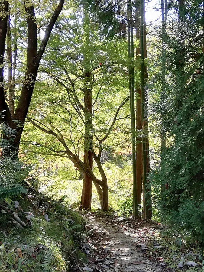 木曽路