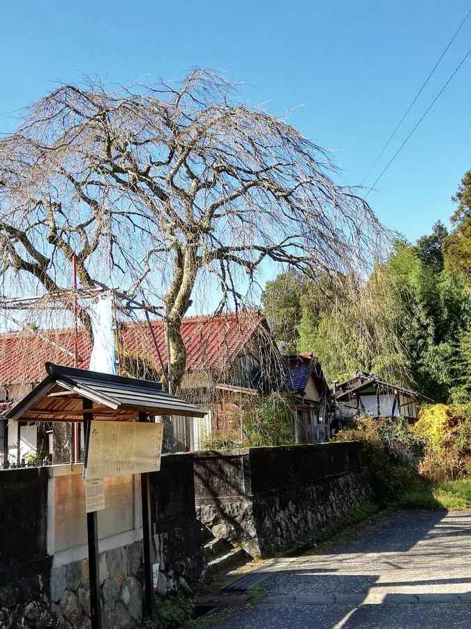 医王寺