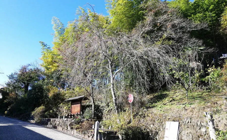 馬籠城址