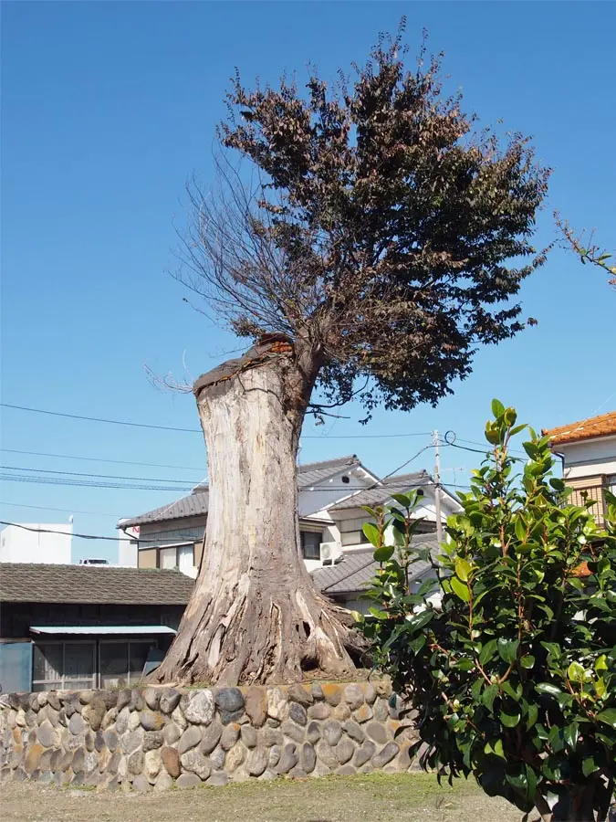 新島一里塚