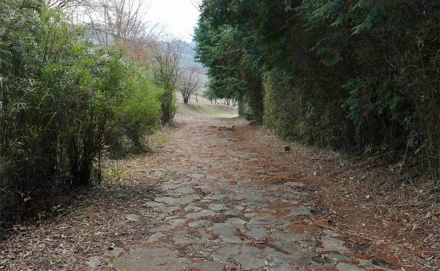 大枯木坂