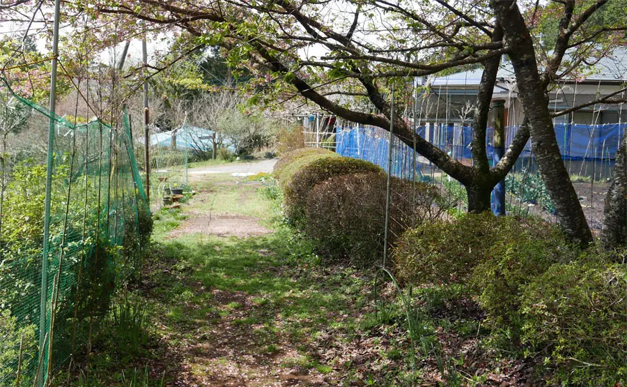 旧東海道