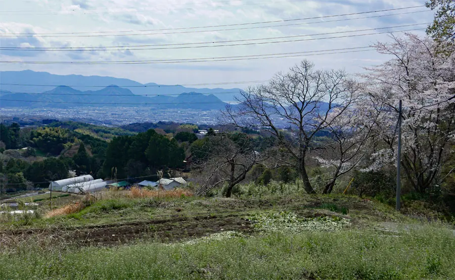旧東海道