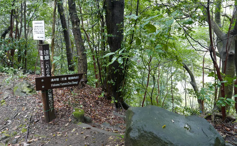 早雲公園