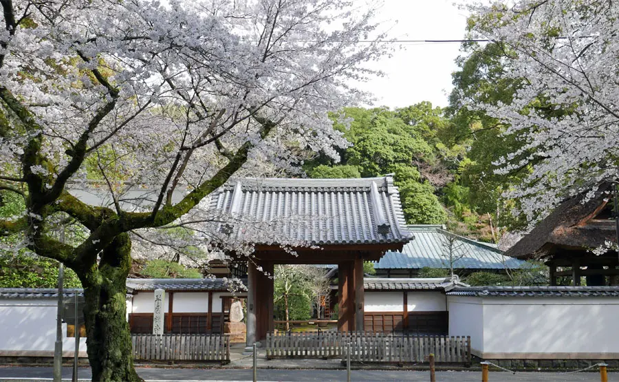 早雲寺