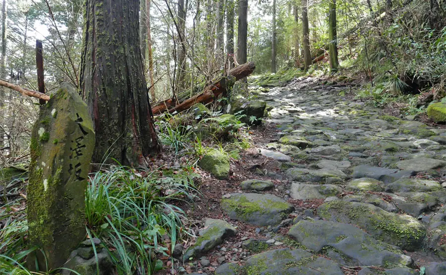 大澤坂