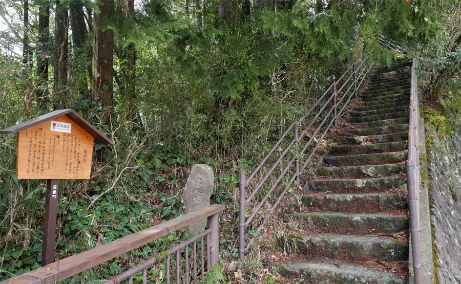 橿木坂