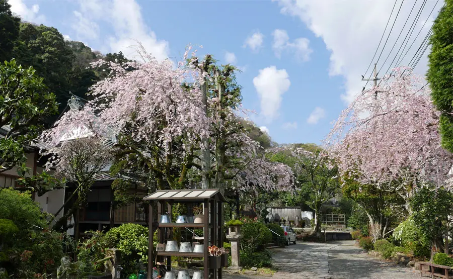 正眼寺