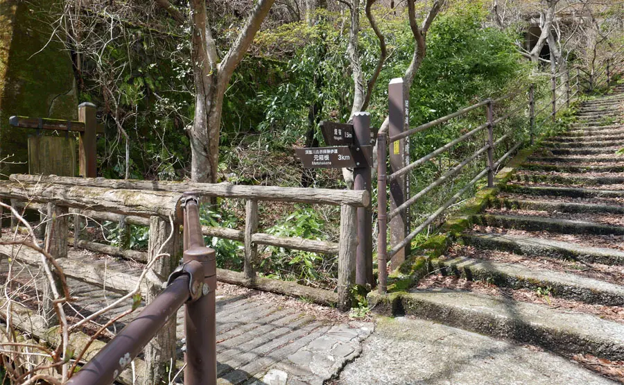橿木坂