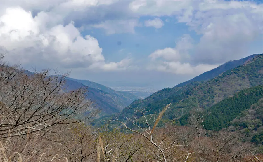 小田原市街遠望