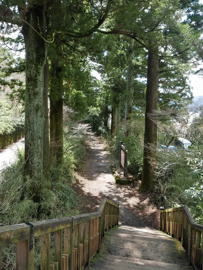 杉並木歩道橋