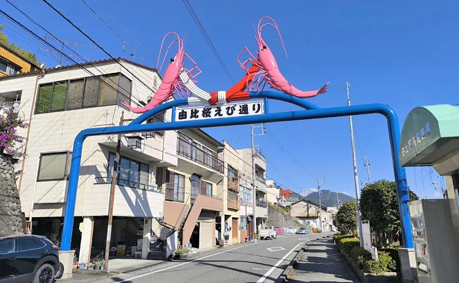 由比桜えび通り