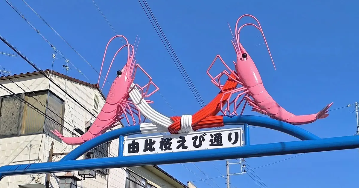 由比桜えび通り