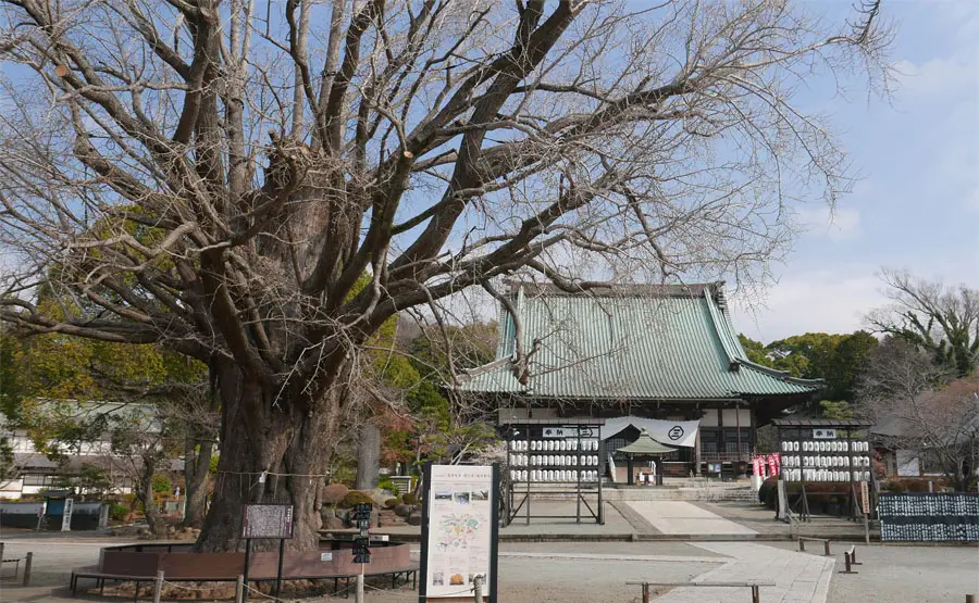 遊行寺