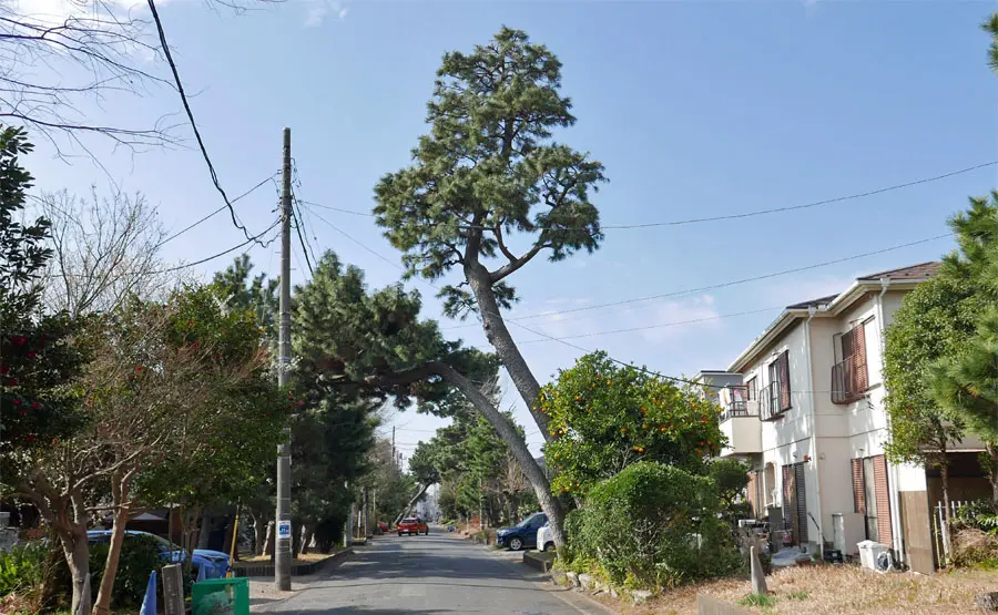 大磯宿